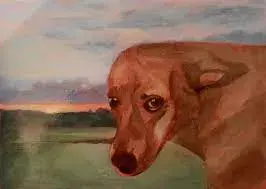 ڕەتکردنەوەی ئیسلامی سەگ: سەرچاوە و فەرموودە و کاریگەرییەکانی