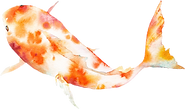 Gold Fish