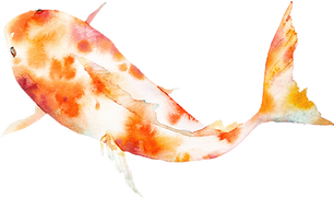 Gold Fish