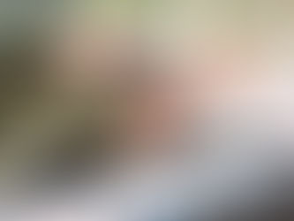 想委託討債，合法嗎？需留意委託機構，帶你認識徵信社與黑道公司的差別