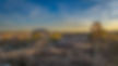 Hill Country View
