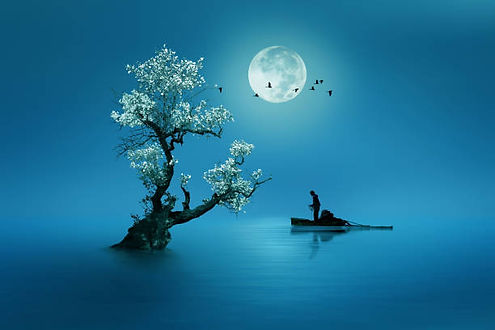 istockphoto-1071653588-612x612.jpg