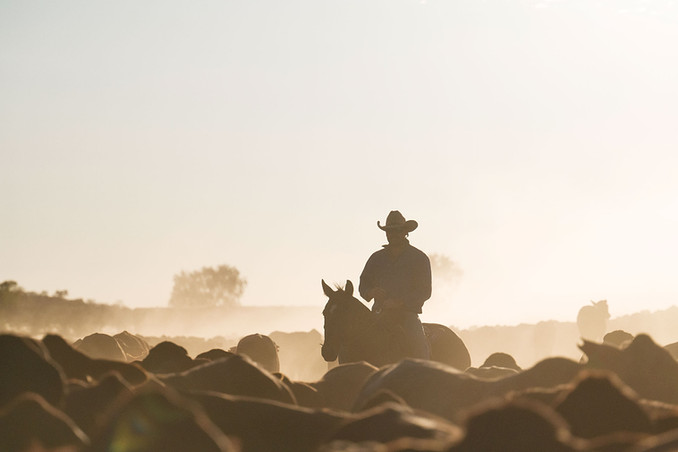 Agriculture Photography