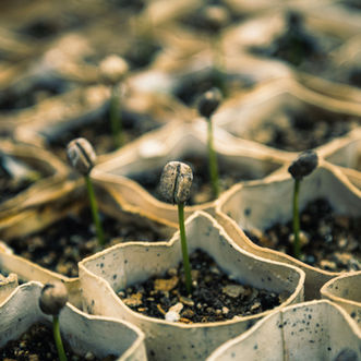 Church Planting Successes and "Failures"