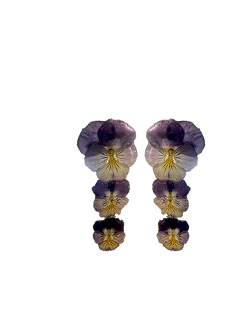 triple pansy.png