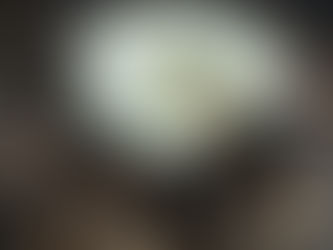 O alternativa rapida pentru asigurarea capitalului de lucru 