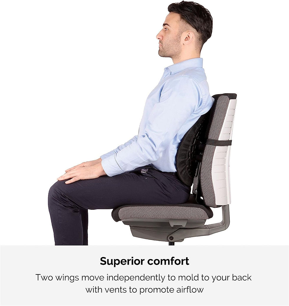 תמונה ממוזערת: Fellowes  Support Back Angel -Back  משענת גב