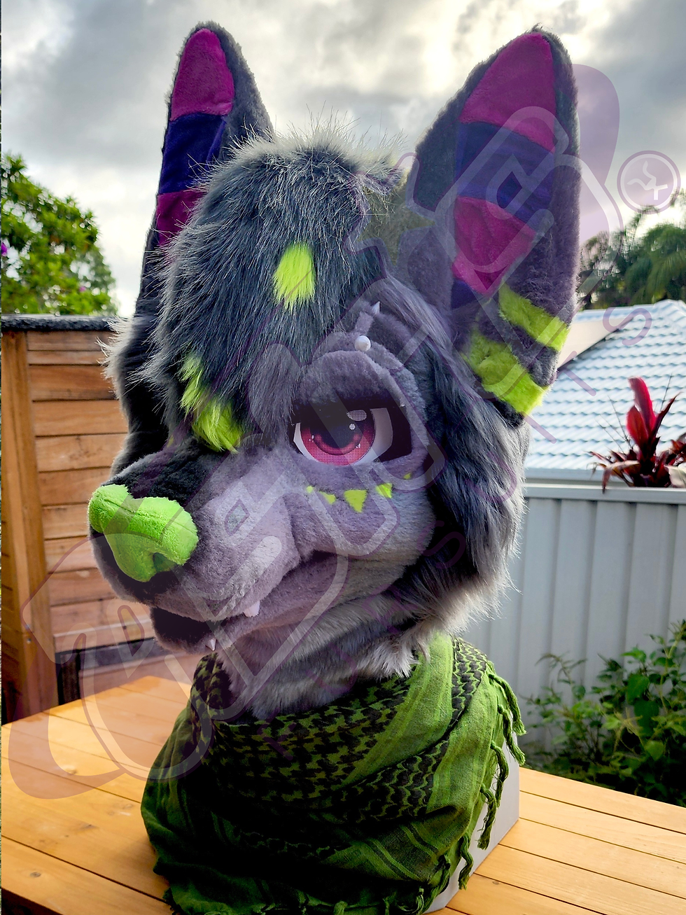 Nexa the Fruitbat x Raccoon - Head Only