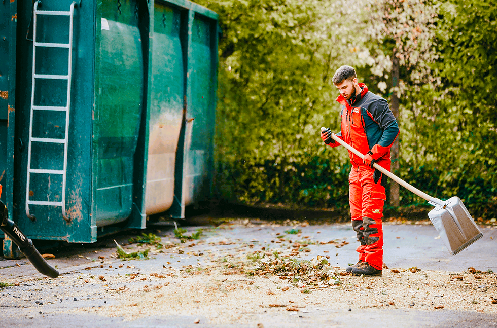 Baumfällung Saarland Entsorgung und Recycling