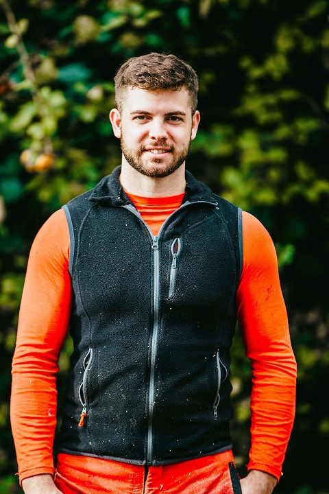 Baumfällung Saarland Treeworks