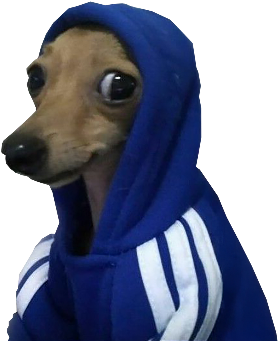 dogsideey_edited.png