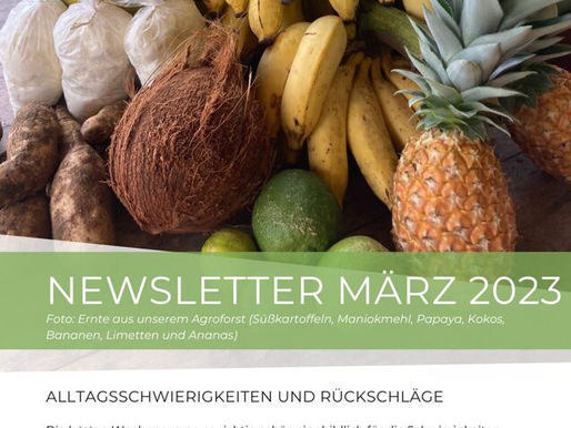 Newsletter März (2023)