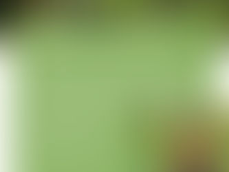 Newsletter Dezember (2025)