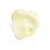Thumbnail: Yuzu Solid Body Oil