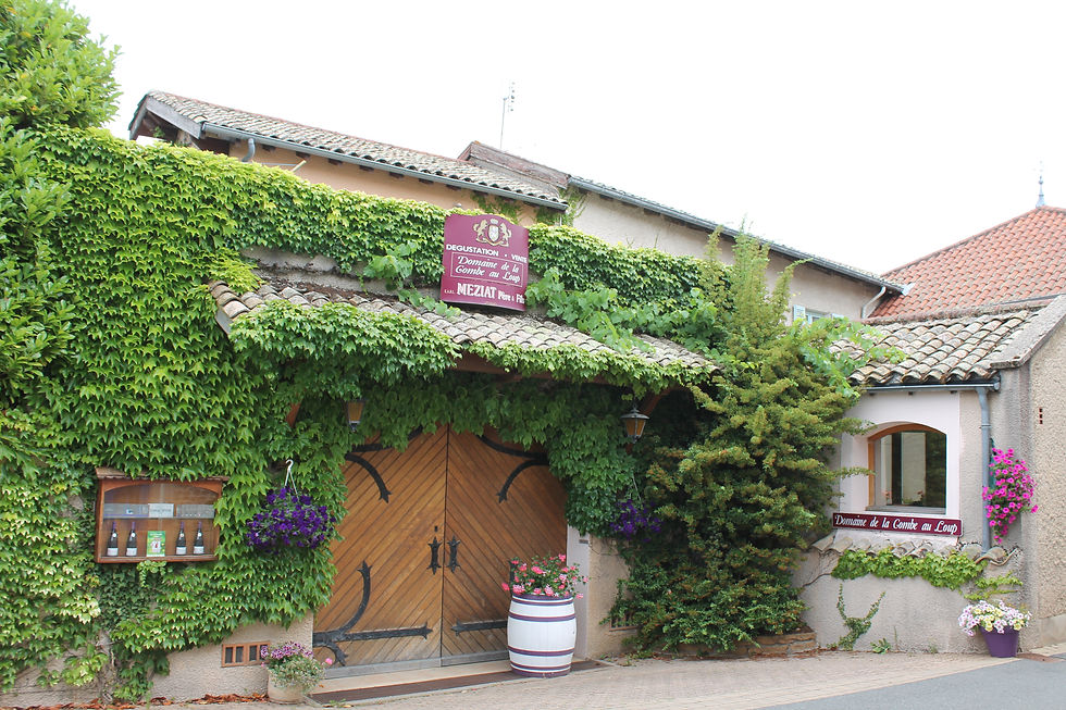 Beaujolais Méziat 17