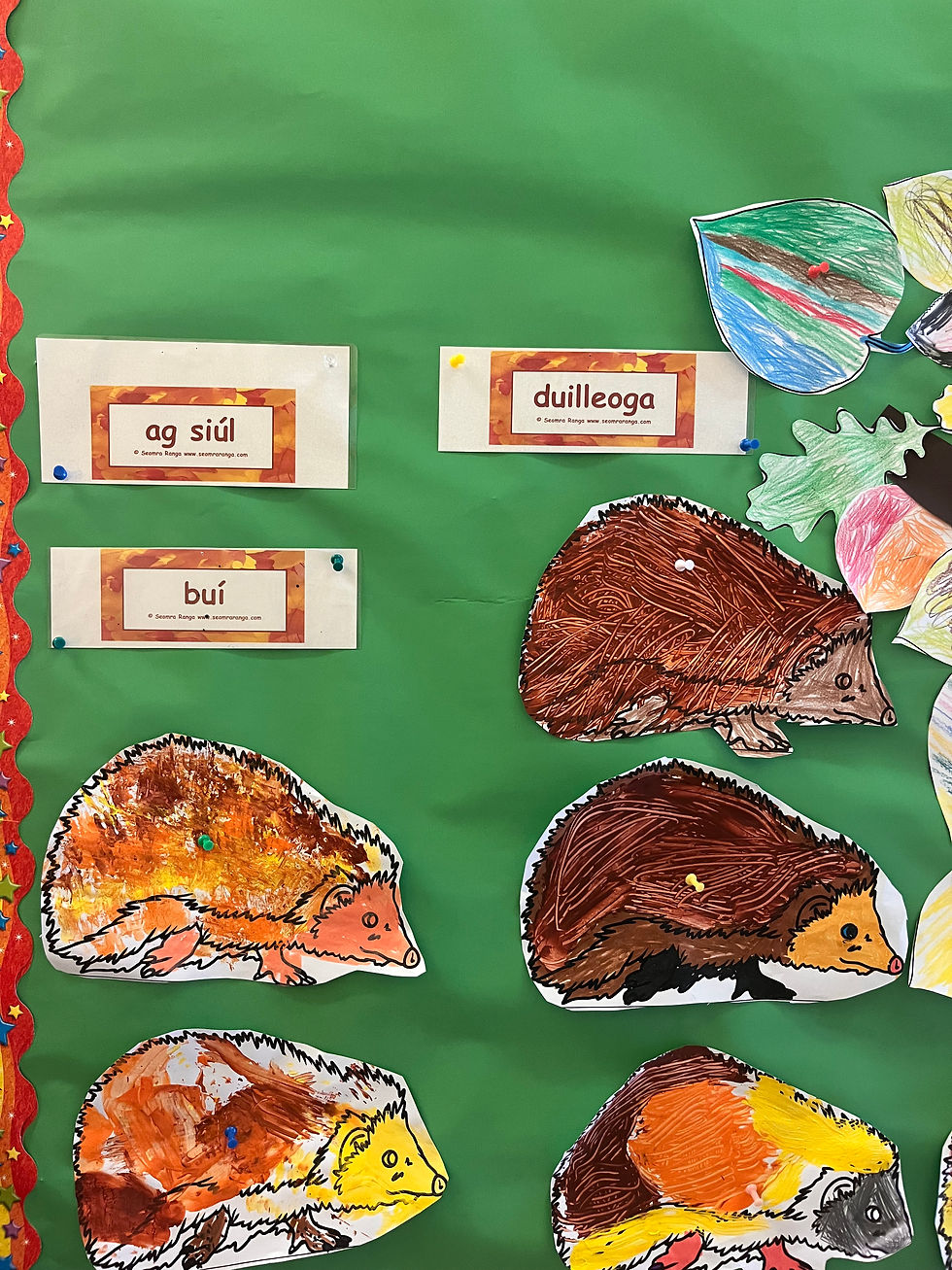 🍂 Autumn Has Arrived in Ms. Murray’s Room! 🦔