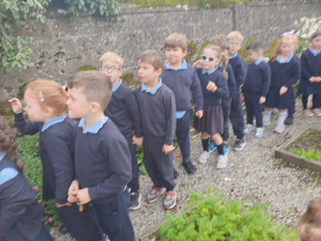 👀🍃 Autumn Adventures with Our Senses! 🍃👂
