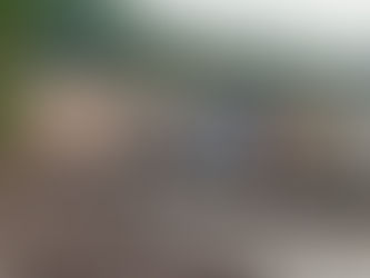 Cardeal Steiner: seca na Amazônia é dramática