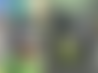 Revolução dos Baldinhos: lixo orgânico recuperado e comunidades conscientizadas no Brasil