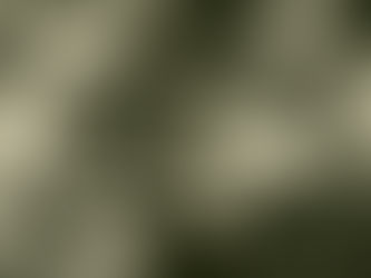 Dom Bosco, o Santo dos jovens