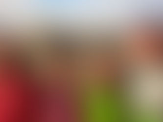 O Papa na Mongólia, porque na Igreja não contam os números