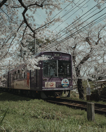 DSCF8915.jpg