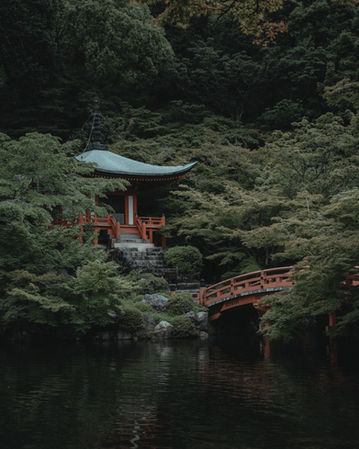DSCF1742.jpg