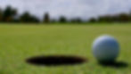 29th Annual Golf Tournament