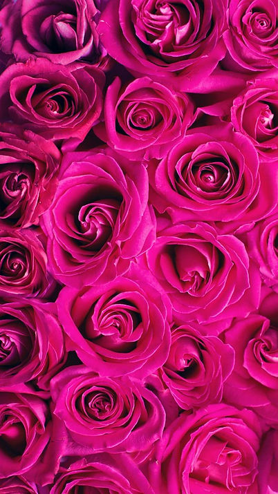 Hot pink.jpg