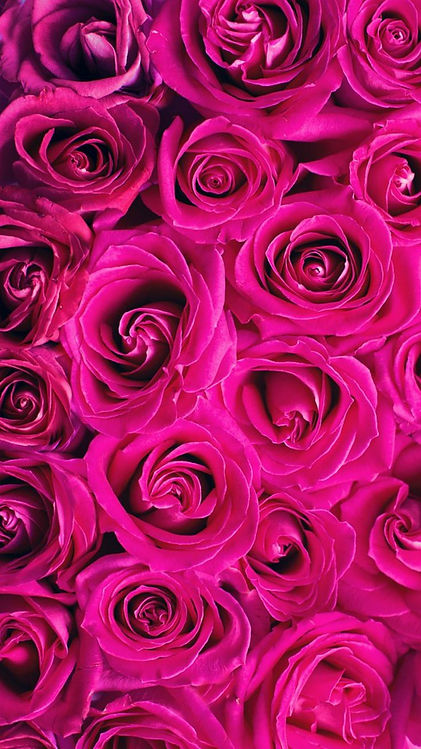 Hot pink.jpg