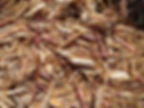 Cedar-Mulch