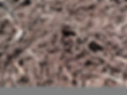 Dark-Brown-Mulch-e1470075693628