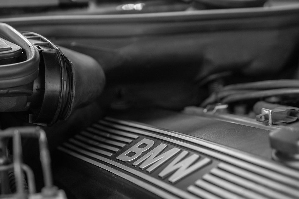 DSC_3373-2