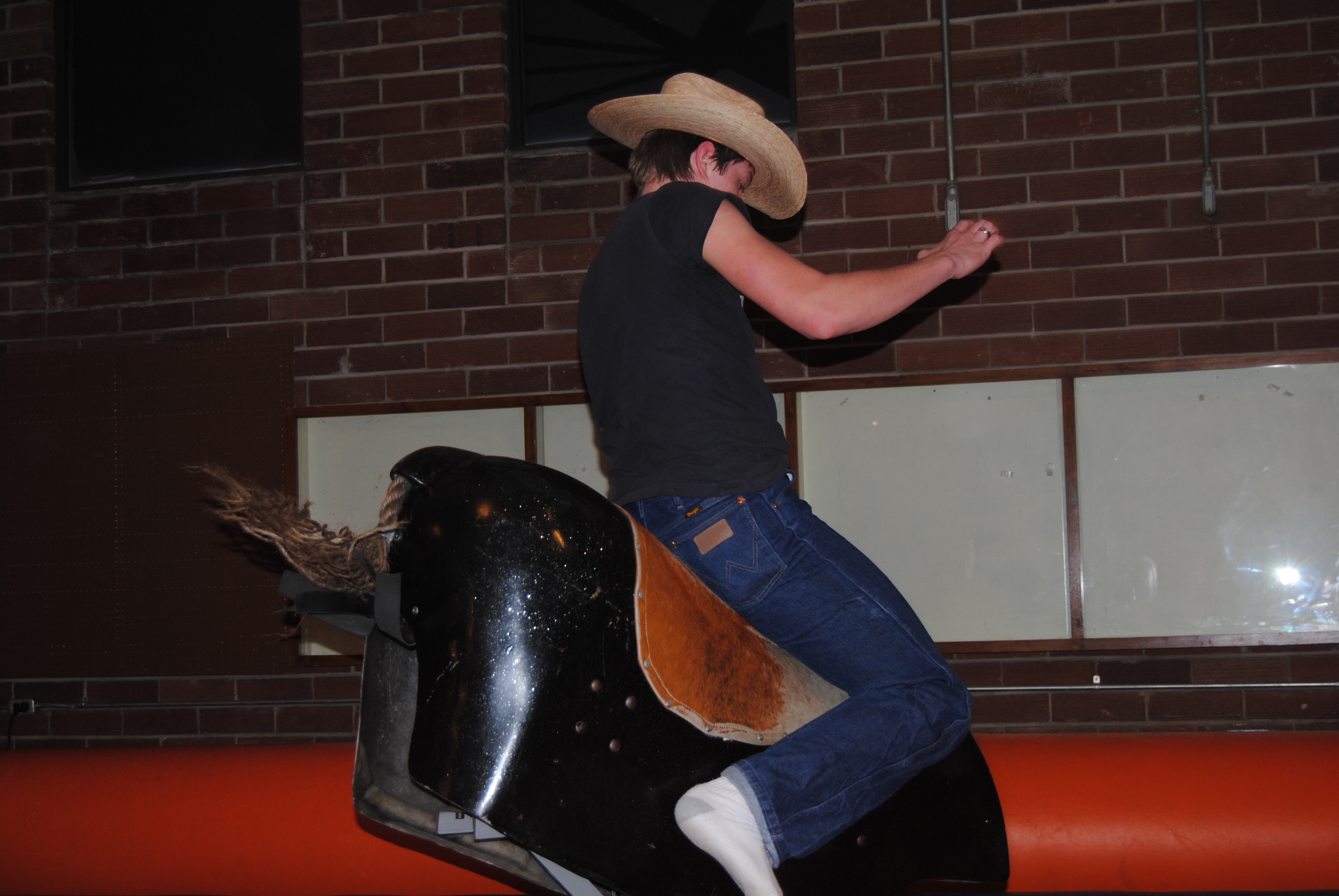 Mechanical Bull