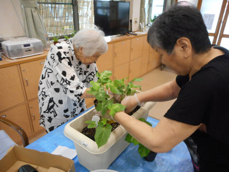 どんな色が咲くのかなぁ~
