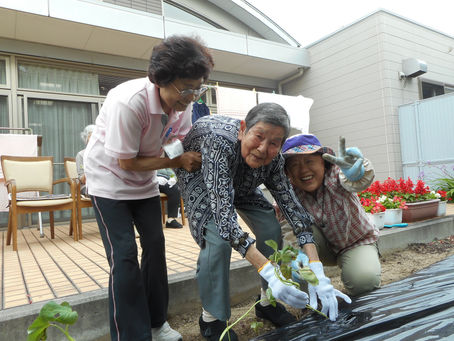 美味しいお芋になぁれ!