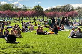 A Day in the Life: Your Ultimate Guide to the Edinburgh University Student Experience