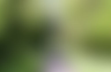 An Epic English Trio: Your Ultimate Guide to Bristol, Bath, and Oxford