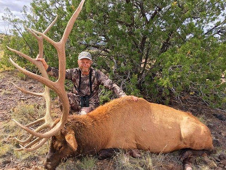 Hunter with a bull elk taken on a New Mexico landowner-voucher hunt