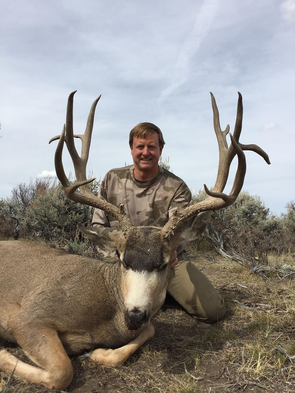 Thumbnail: Wyoming Mule Deer Hunt