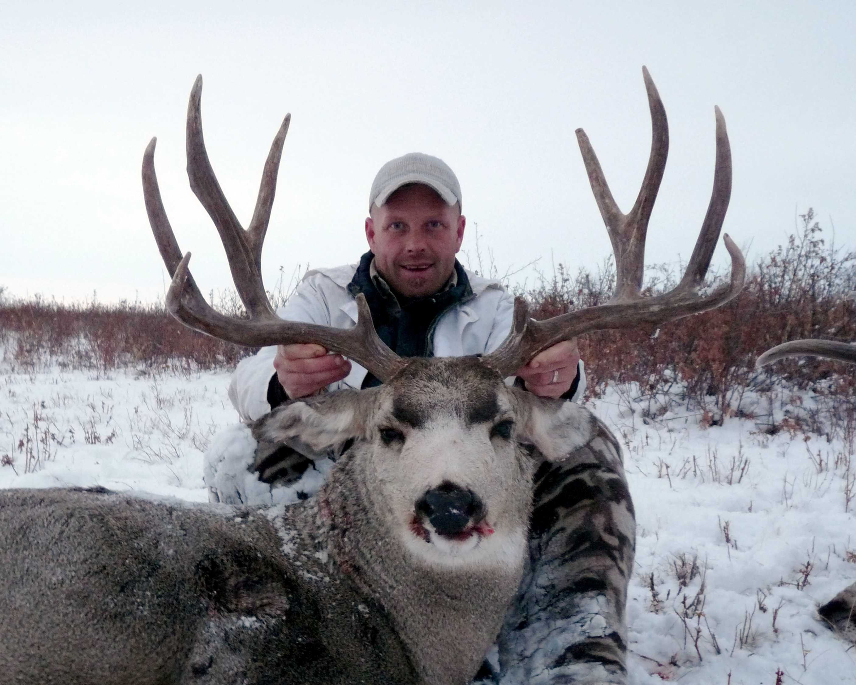 Montana Mule Deer Hunt - $3,605