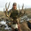 Thumbnail: Utah Mule Deer Hunt - $7,004
