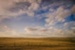 prairie.jpeg