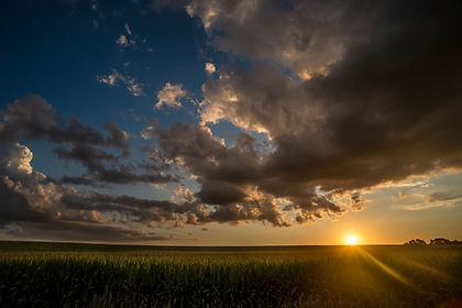 cornfieldwsun.jpeg