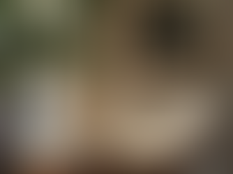 O Mobiliário nos Projetos: Transformação, Identidade e Expressão dos Espaços