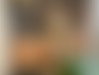 Quando o interior revela a arquitetura: como a ambientação potencializa o projeto