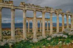 08112200007-5.jpg