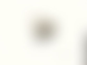 Rachel's very first blog!