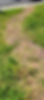 277356784_1013815962886989_5650564962975178546_n_edited.jpg