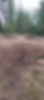 277529880_490871289378430_6184076714699635668_n.jpg